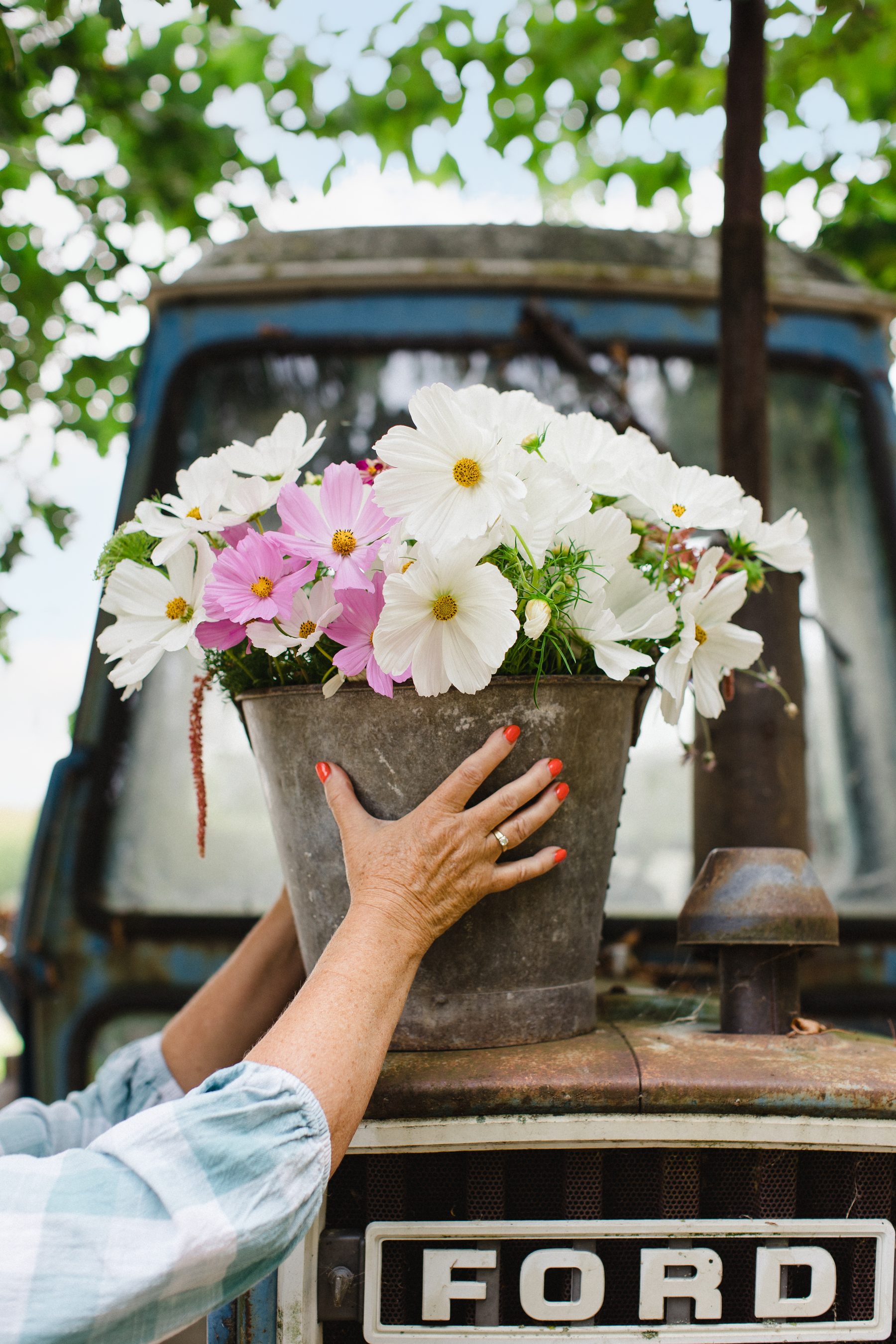 Single-Use Plastics in Floristry — sustainable floristry in practice at the British Sustainable Floristry Academy